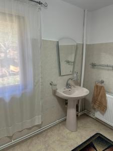 a bathroom with a sink and a shower with a mirror at La Colonelu in Sărata-Monteoru +58 photos