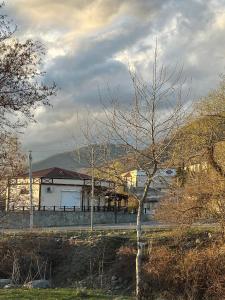 a house with a tree in front of it at Gabala Riverside House in Gabala