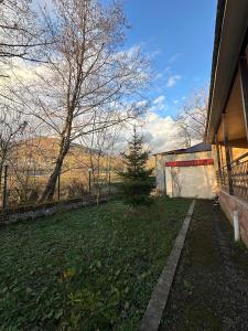 a yard next to a house with a christmas tree at Gabala Riverside House in Gabala