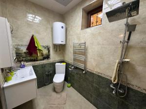 a bathroom with a toilet and a sink at Gabala Riverside House in Gabala