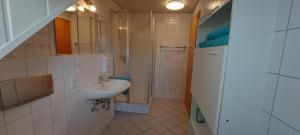 a small bathroom with a sink and a shower at Ferienwohnungen Lahmenhof in Poppenhausen +23 photos