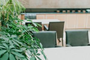 Gallery image of Nüzhet Hotel in Kayseri