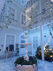 Vonkajšia záhrada v ubytovaní Planeta Cadiz Hostel