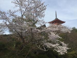 Fotografie z fotogalerie ubytování Ryokan Uemura v Kjótu