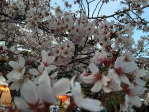 Fotografie z fotogalerie ubytování Ryokan Uemura v Kjótu