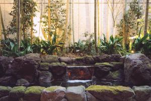 Zahrada ubytování THE AOYAMA GRAND HOTEL + 37 fotografií