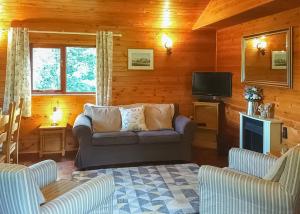Televisyen dan/atau pusat hiburan di Garnffrwd Cottages +21 gambar