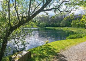 a view of a lake in a park at Garnffrwd Cottages in Llanddarog +20 photos