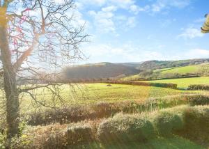 ein Grasfeld mit einem Baum im Vordergrund in der Unterkunft Green Acres Cottages in Par + 17 Fotos