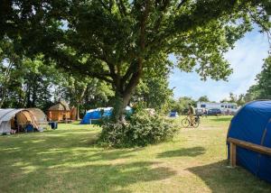 Un hombre anda en bicicleta junto a tiendas de campaña y un árbol. en Lee Valley Sewardstone, en Enfield Lock