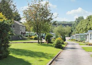 a street in a residential neighborhood with houses at Lime Tree Park in Buxton