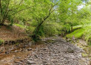 ein kleiner Bach mitten im Wald in der Unterkunft Nant-Y-Coed Lodges in Mochdre