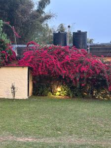 Ein Garten an der Unterkunft Hotel Tourist Residency