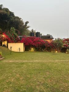 Ein Garten an der Unterkunft Hotel Tourist Residency
