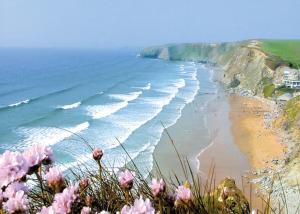 Blick auf einen Strand mit rosa Blumen in der Unterkunft Porth Veor in Newquay