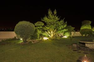 Zahrada ubytování Easy Home Stay