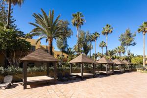 eine Reihe von Pavillons mit Stühlen und Palmen in der Unterkunft Home2Book Zen Oasis Apt Pool & Terrace, Corralejo in Corralejo