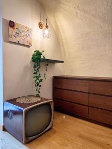 een oude tv op de vloer met een plant bij Bellavita Rooms-Matera Arco 34 in Matera