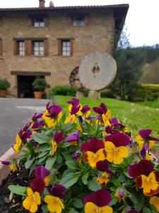 Zahrada ubytování Agroturismo Iberreko Errota
