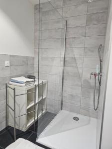 Koupelna v ubytování Appartement de caractère