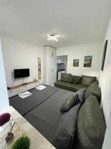TV a/nebo společenská místnost v ubytování Apartement Igalo Center
