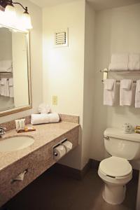 a bathroom with a toilet and a sink and a mirror at Country Inn & Suites by Radisson, Frackville (Pottsville), PA in Mount Pleasant +14 photos