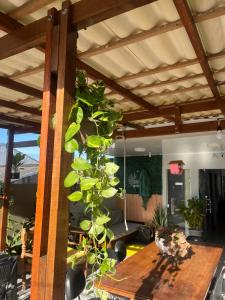 a room with a wooden table with a plant at Jambu Hostel Belém in Belém