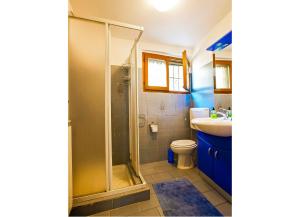 a bathroom with a shower and a toilet and a sink at Rustico La Vigna in Cannero Riviera