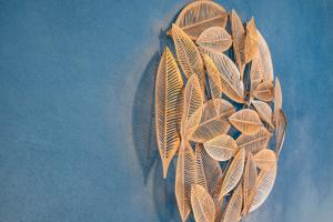Fotografie z fotogalerie ubytování Ferienwohnung Wilde7 v destinaci Seebach