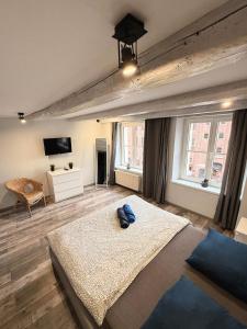 Un dormitorio con una cama grande y un televisor. en Apartament z widokiem na pomnik Kopernika - Rynek Staromiejski, en Toruń