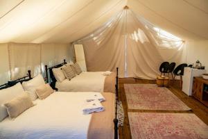 Gallery image of Haida Gwaii Glamping in Tlell