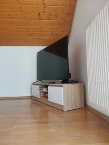 a flat screen tv sitting on a stand in a room at Ferienwohnung Steible in Isny im Allgäu