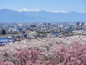 秦野市Hadano City Hideaway 6min Walk to Station EasyAccess to Hakone & Shonan的相册照片