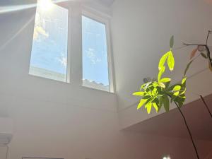 秦野市Hadano City Hideaway 6min Walk to Station EasyAccess to Hakone & Shonan的相册照片