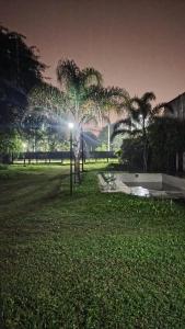 a light in a park with palm trees at night at Finca la milagrosa in Santiago del Estero