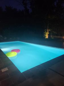 due frisbee in una piscina di notte di La cabane des bords d'Ariège a Grépiac Altre 14 foto