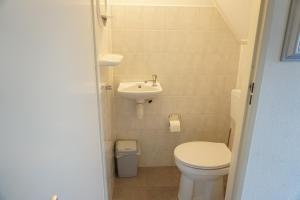 a small bathroom with a toilet and a sink at Kustverhuur, Park Schoneveld stern 266 in Breskens +10 photos