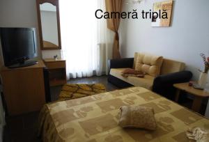 TV a/nebo společenská místnost v ubytování Complex Gec Histria Mamaia
