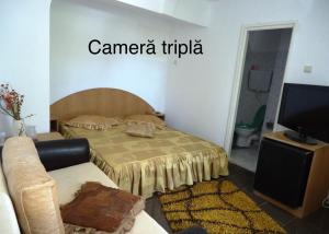 TV a/nebo společenská místnost v ubytování Complex Gec Histria Mamaia