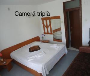 Postel nebo postele na pokoji v ubytování Complex Gec Histria Mamaia
