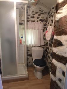 a bathroom with a toilet and a shower at Les volets bleus in Les Angles