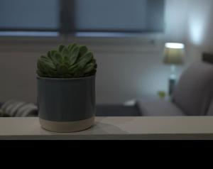 Fotografie z fotogalerie ubytování Ariadni Apartment Cozy Escape v destinaci Korint