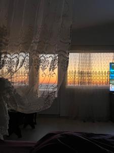 TV a/nebo společenská místnost v ubytování Complex Gec Histria Mamaia