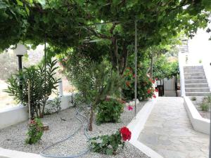 a garden with flowers and a hose at Casa Liaya Studios in Matala