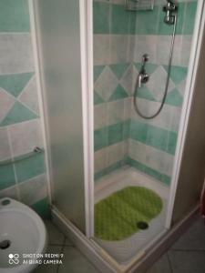 a shower with a green rug in a bathroom at VIA BOCCACCIO 16 in Budoni +12 photos