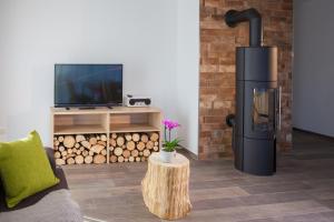 a living room with a fireplace and a tv at Tischneck Chalets - TraumFerienhäuser im Schwarzwald - Chalets Riva & Limone in Hardt