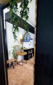 Fotografie z fotogalerie ubytování The Secret Motel - L'héritage v destinaci Salazie