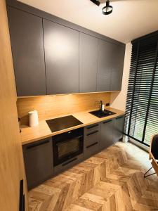 Kuchyňa alebo kuchynka v ubytovaní Apartament Bubble z darmowym parkingiem