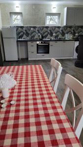 a kitchen with a red and white checkered floor at Vila KEDAR sa klimom in Kragujevac +27 photos