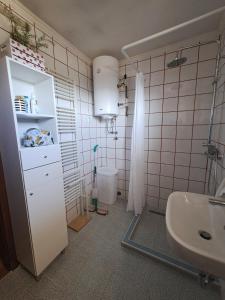 un baño con lavabo e inodoro en Green house, en Bileća